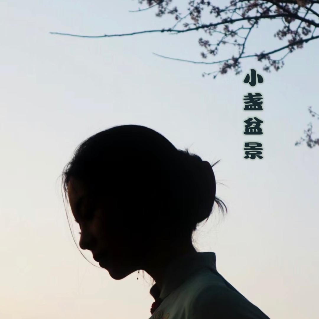 小盏盆景