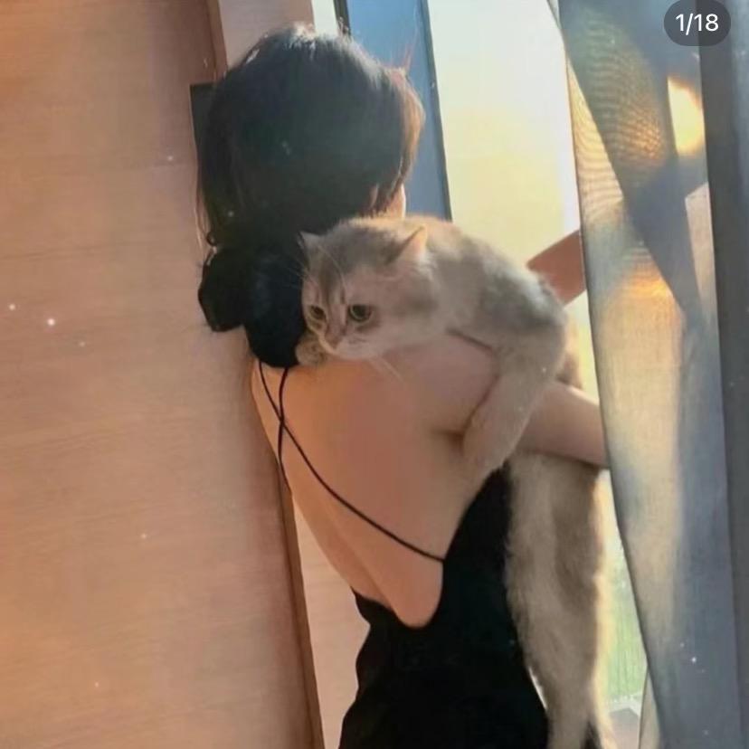 美妞💓宠
