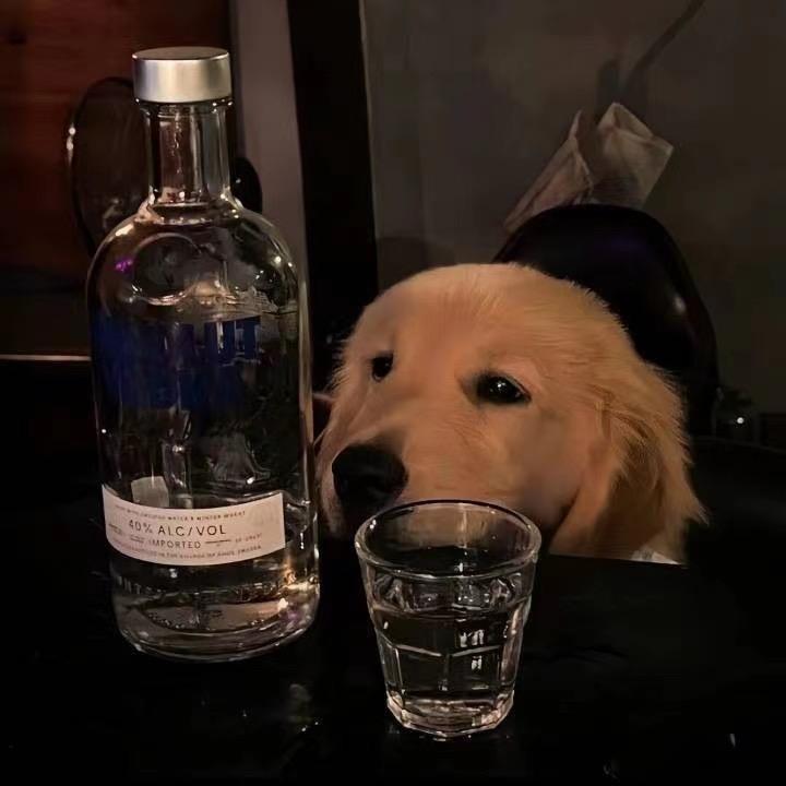 小卡拉米ༀ