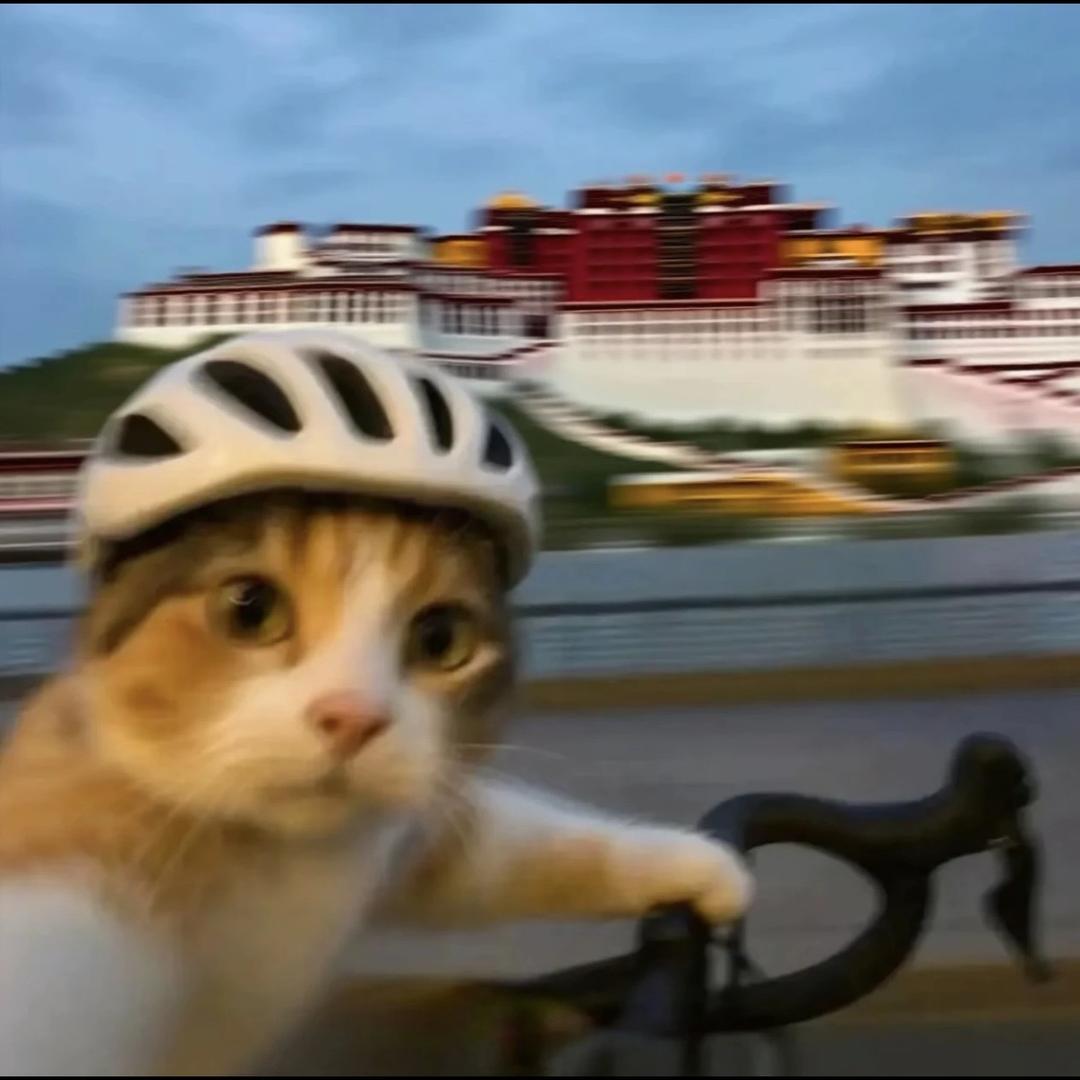 英勇的赞恩弗林特🤨