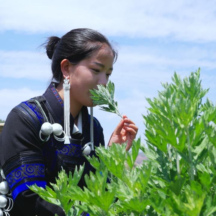 为艾婷留