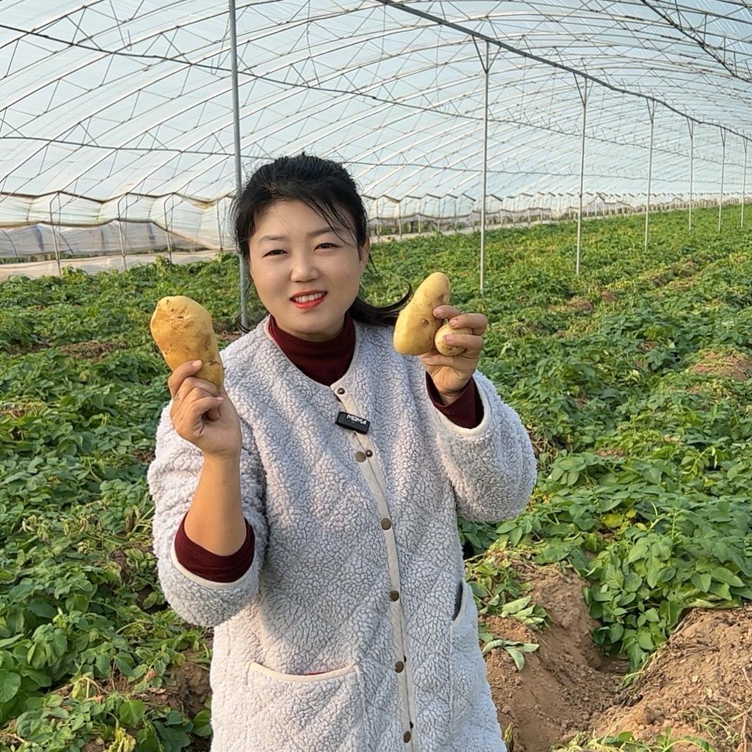 土豆姐🥔