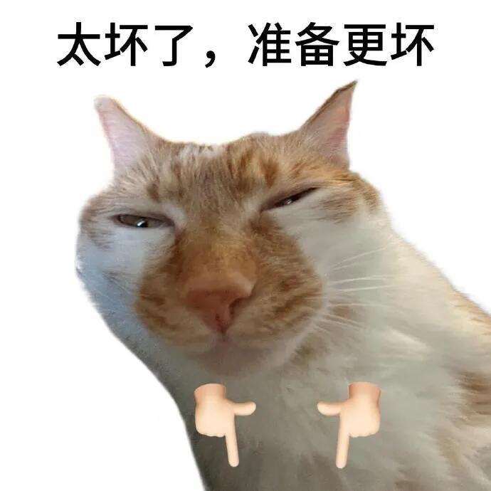 1只眠羊🐑