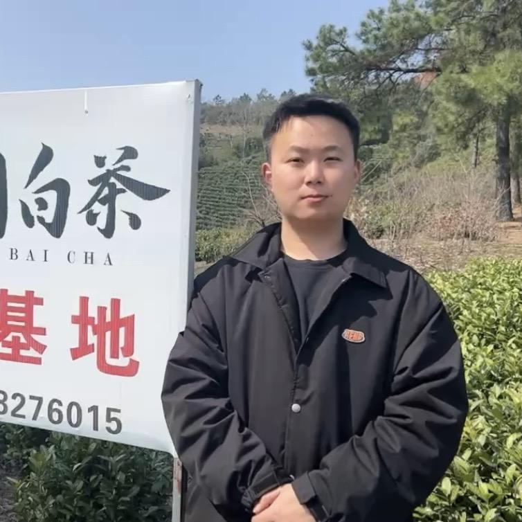 竺之润白茶