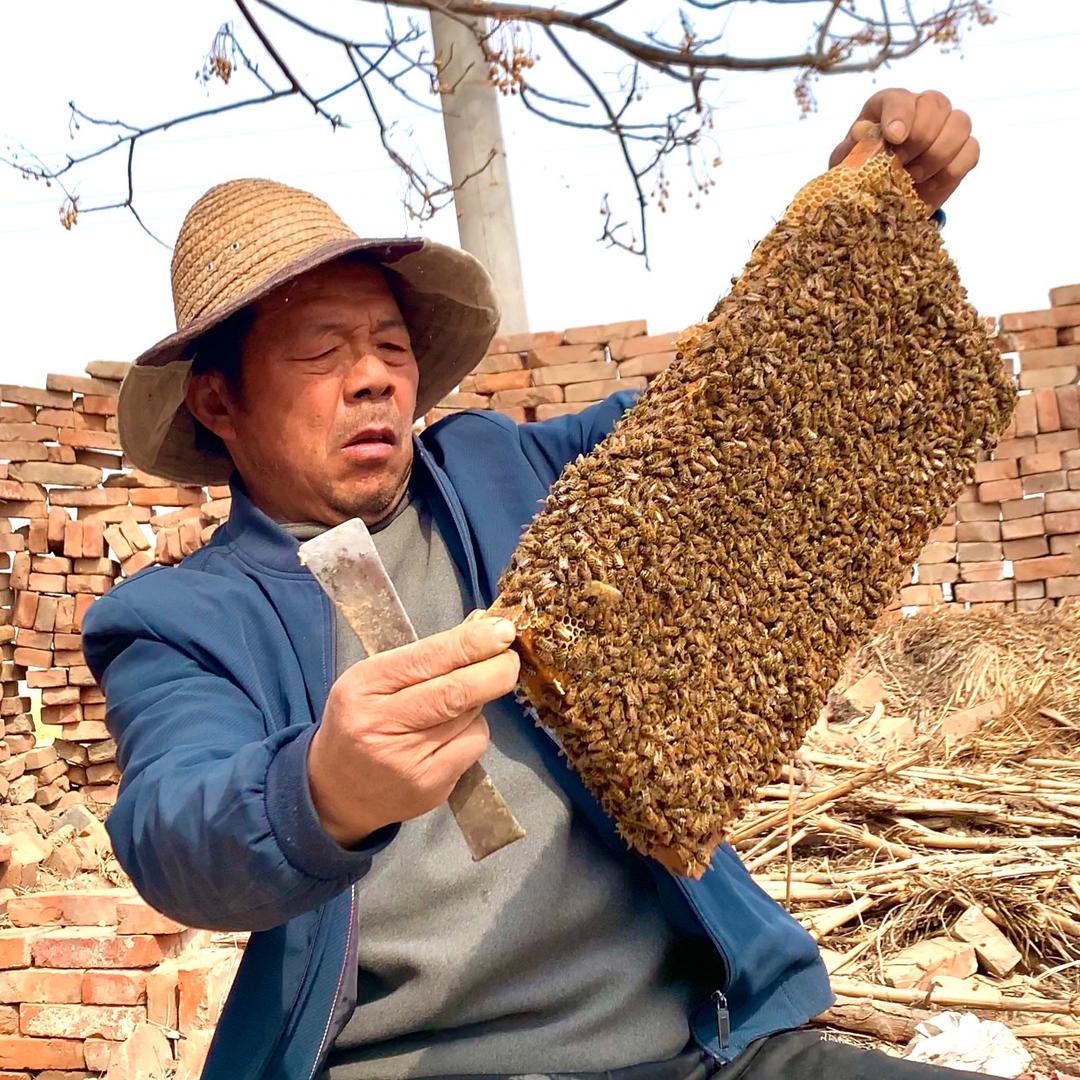 祥子和蜂爸爸1