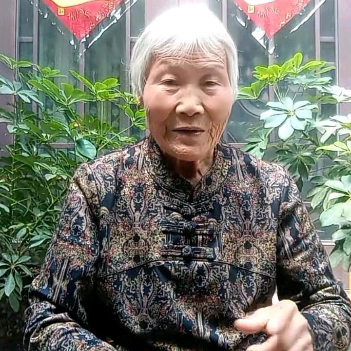 枝