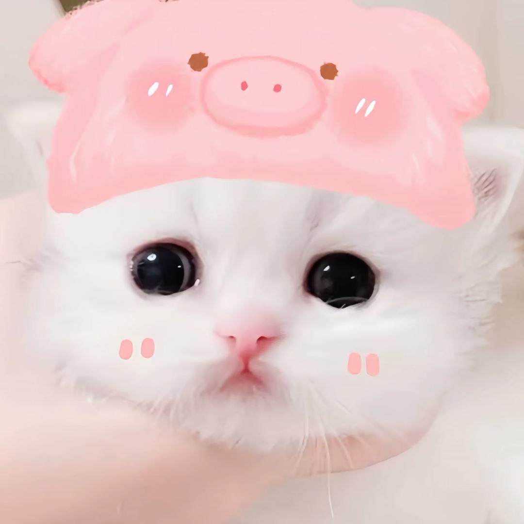 前妻o