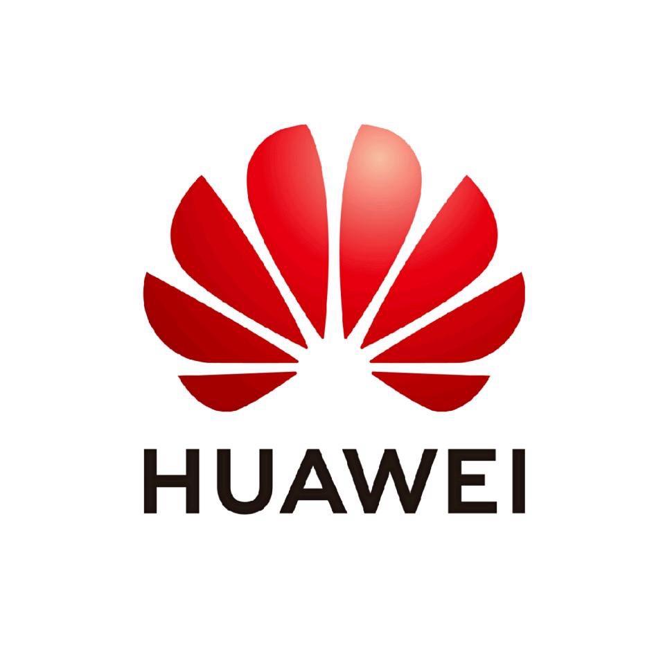华为光网