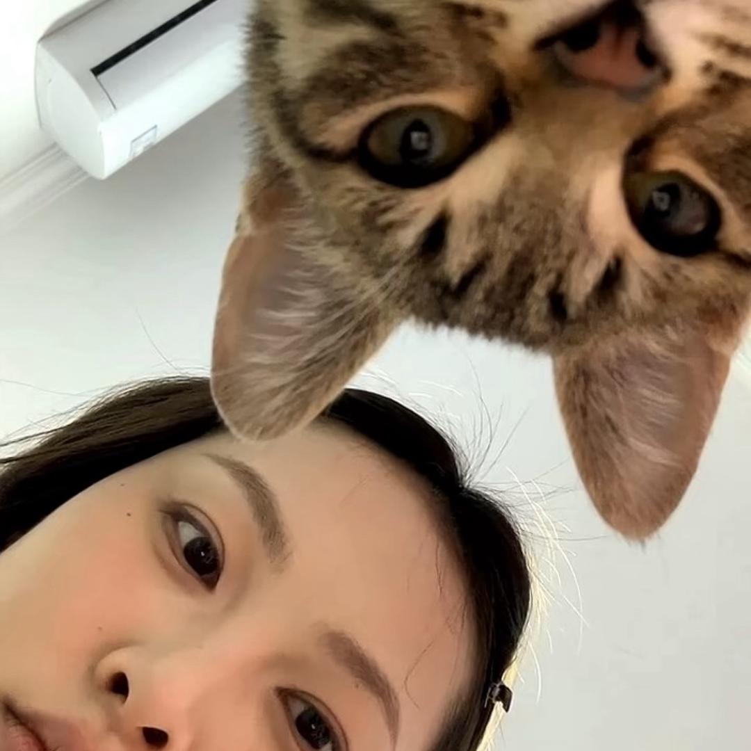 ㅤ    ㅤ涵