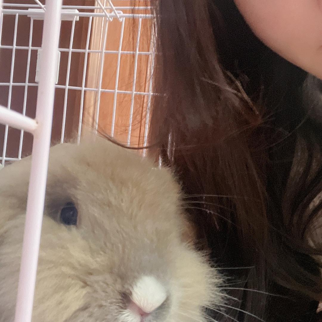 别烦小菜