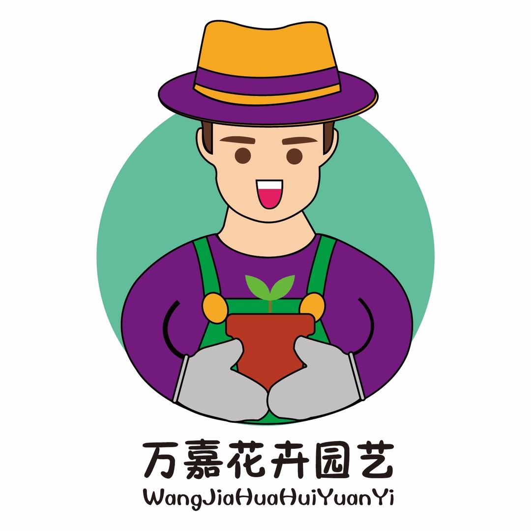 万红花卉