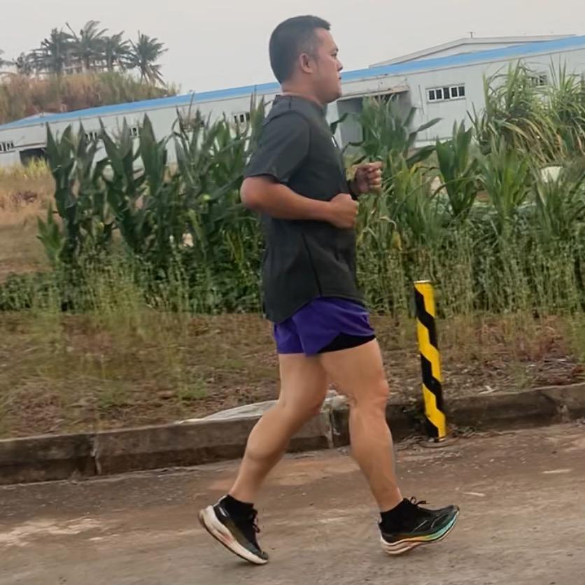 海风奔跑