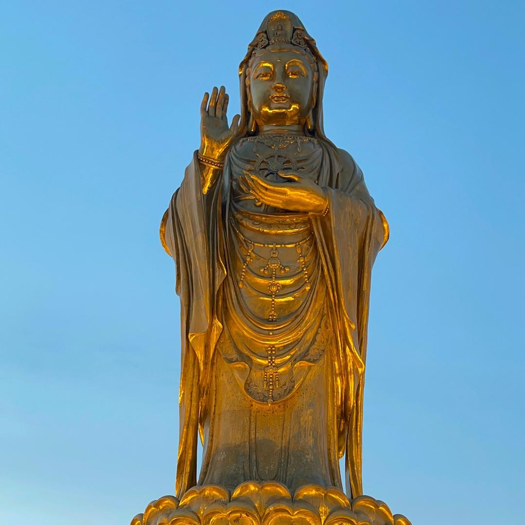 静心❤️❤️❤️