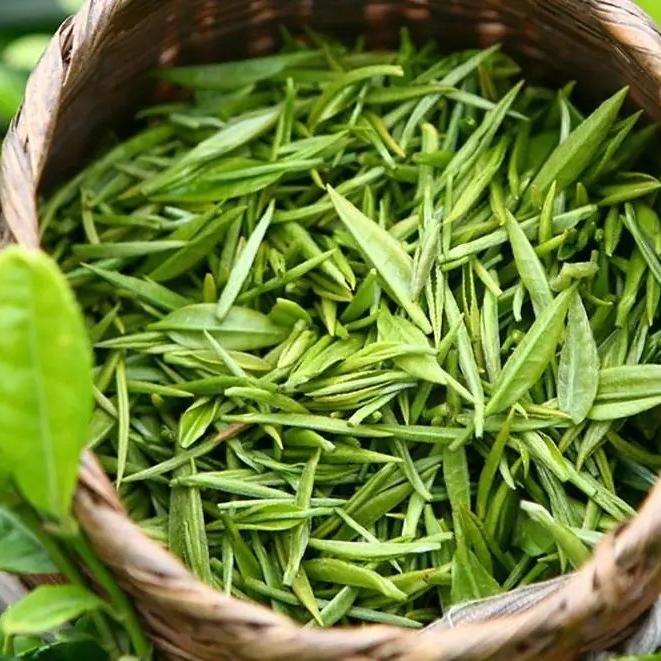 松阳县茶叶百茶批发