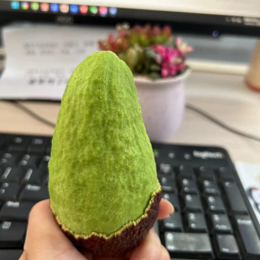 牛油果源头