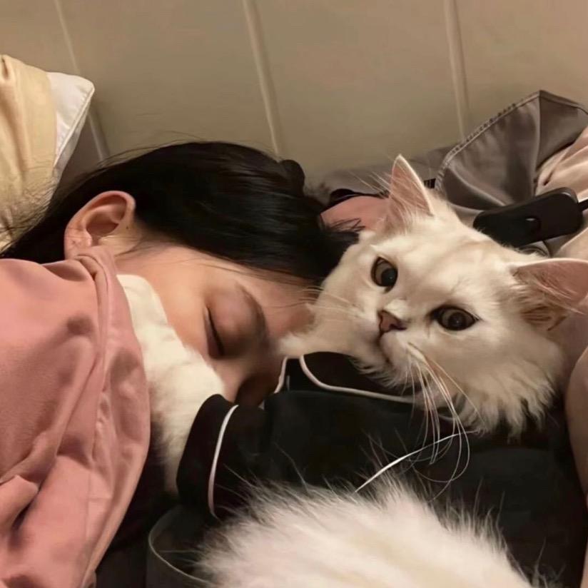 小乖^