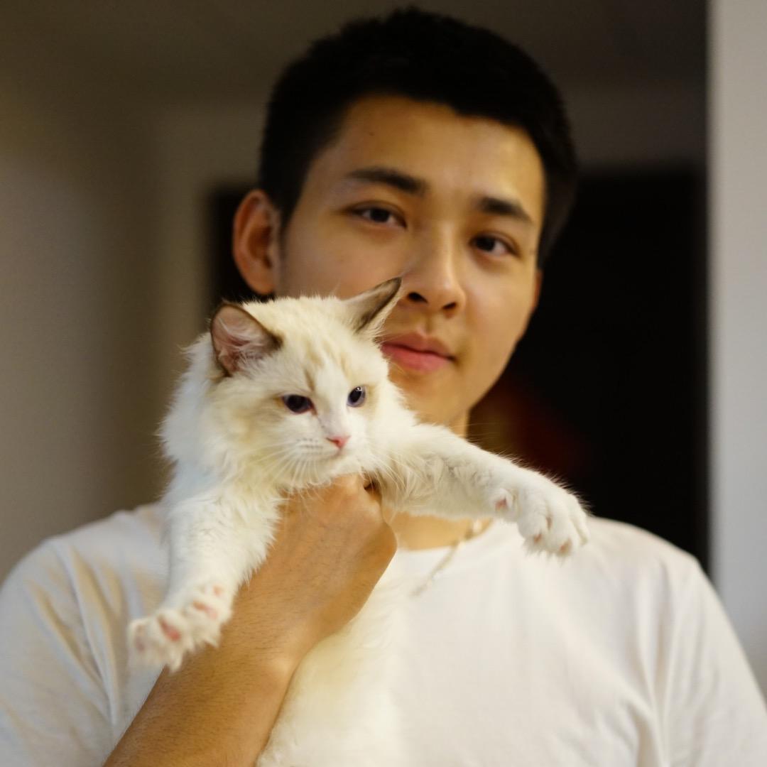 Honcol虹蔻猫舍