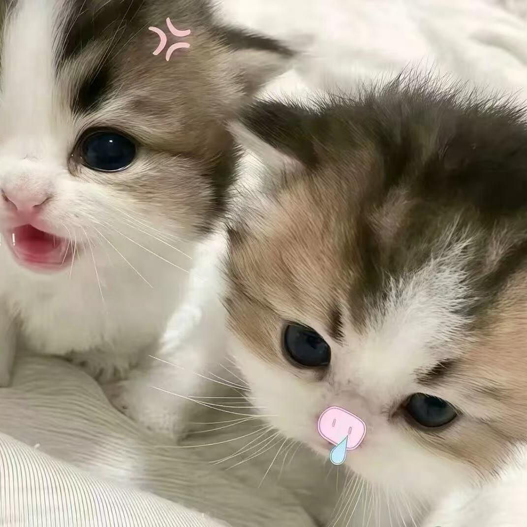 糯米ᶻᶻᶻ