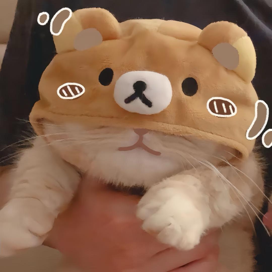 小白在美国