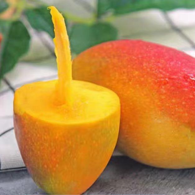 广西百色芒果