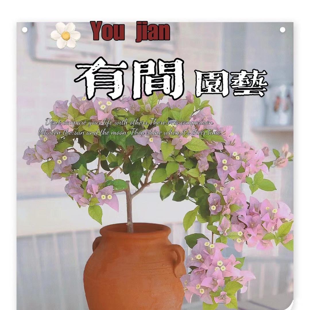 漳州高新区颜厝有间园艺场