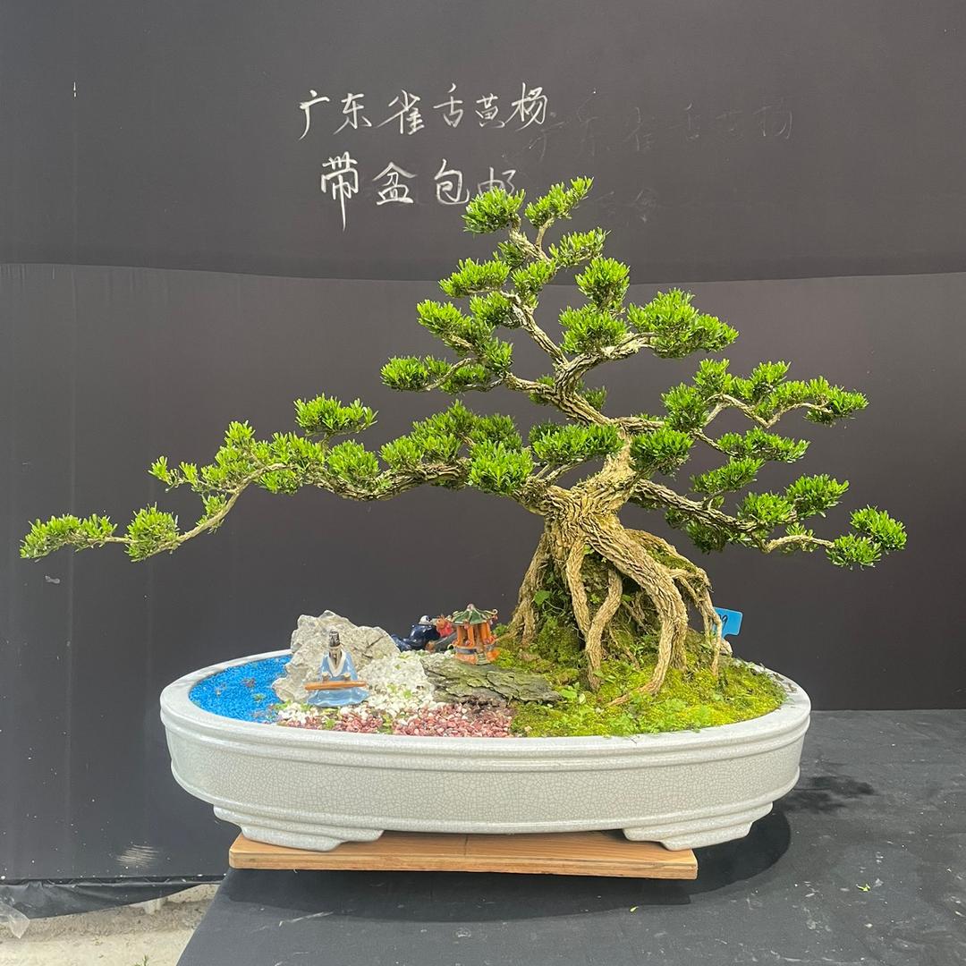 茂兴盆景园