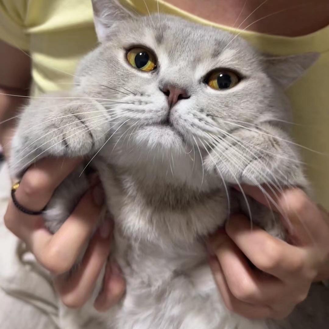 昆明玖辰丫