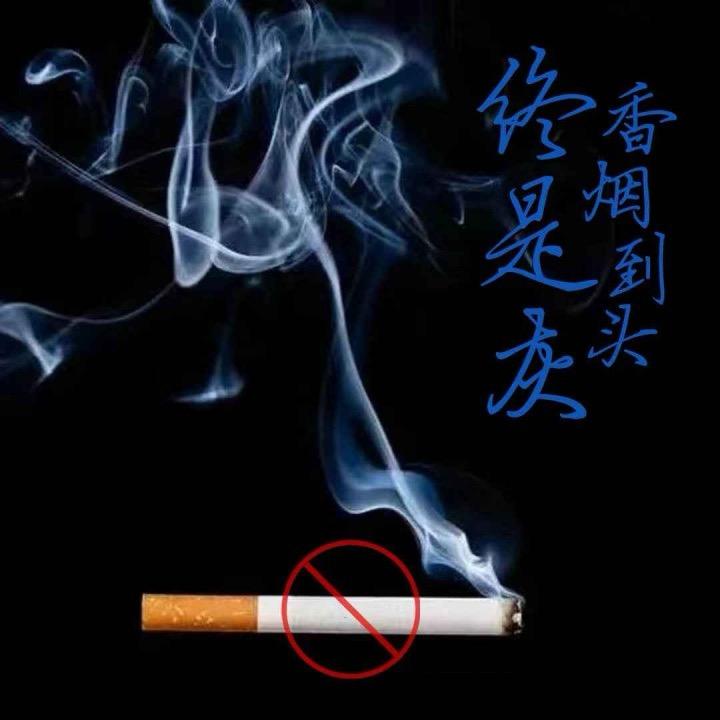 力鼎广告快装