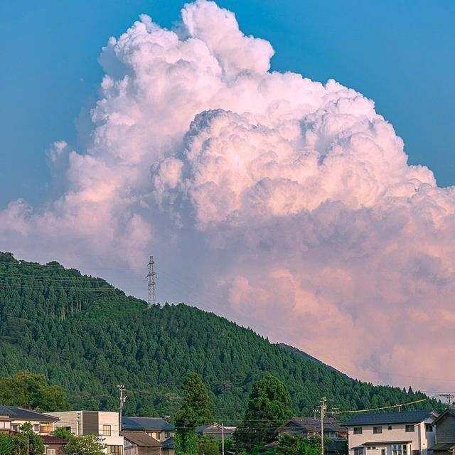 硬道理