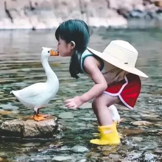 小轮子吖