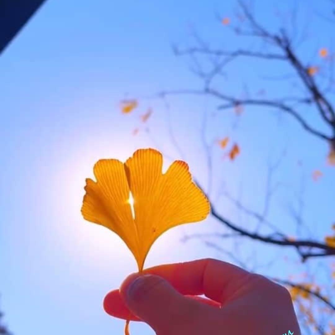 儿时想家