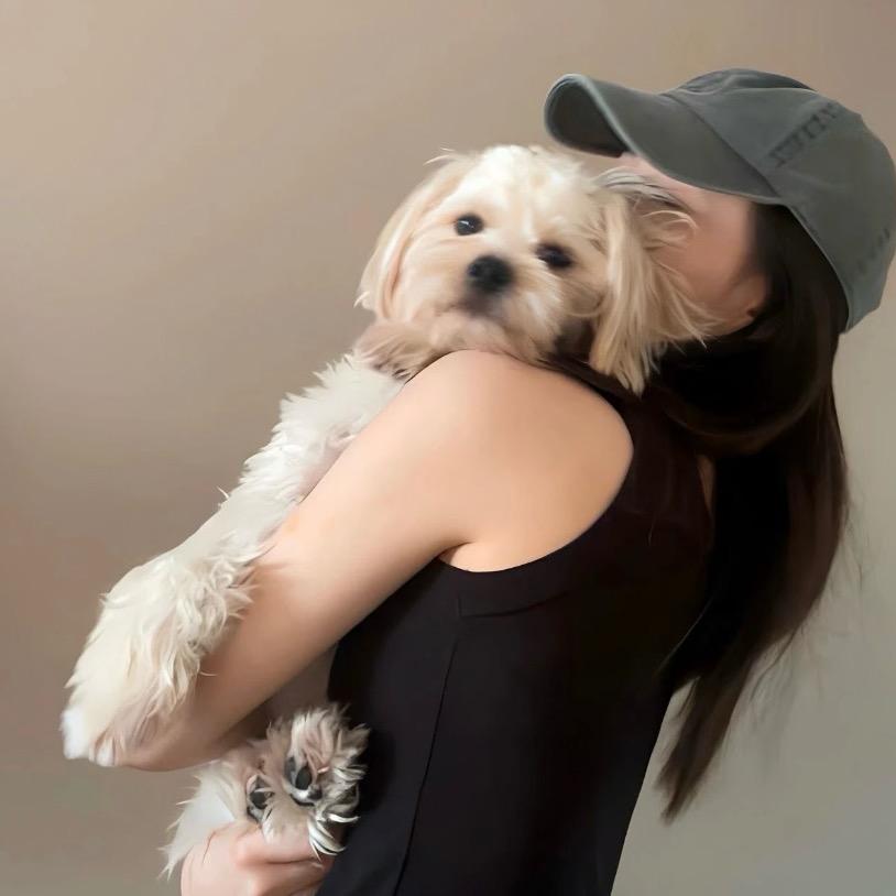 是喵咪吖🐱