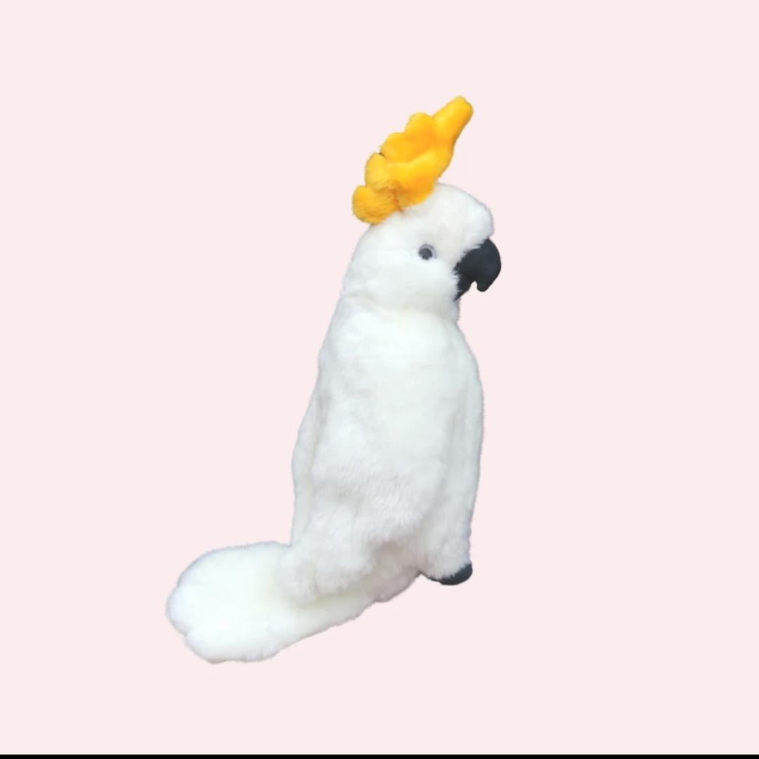 鹦哆哆萌宠