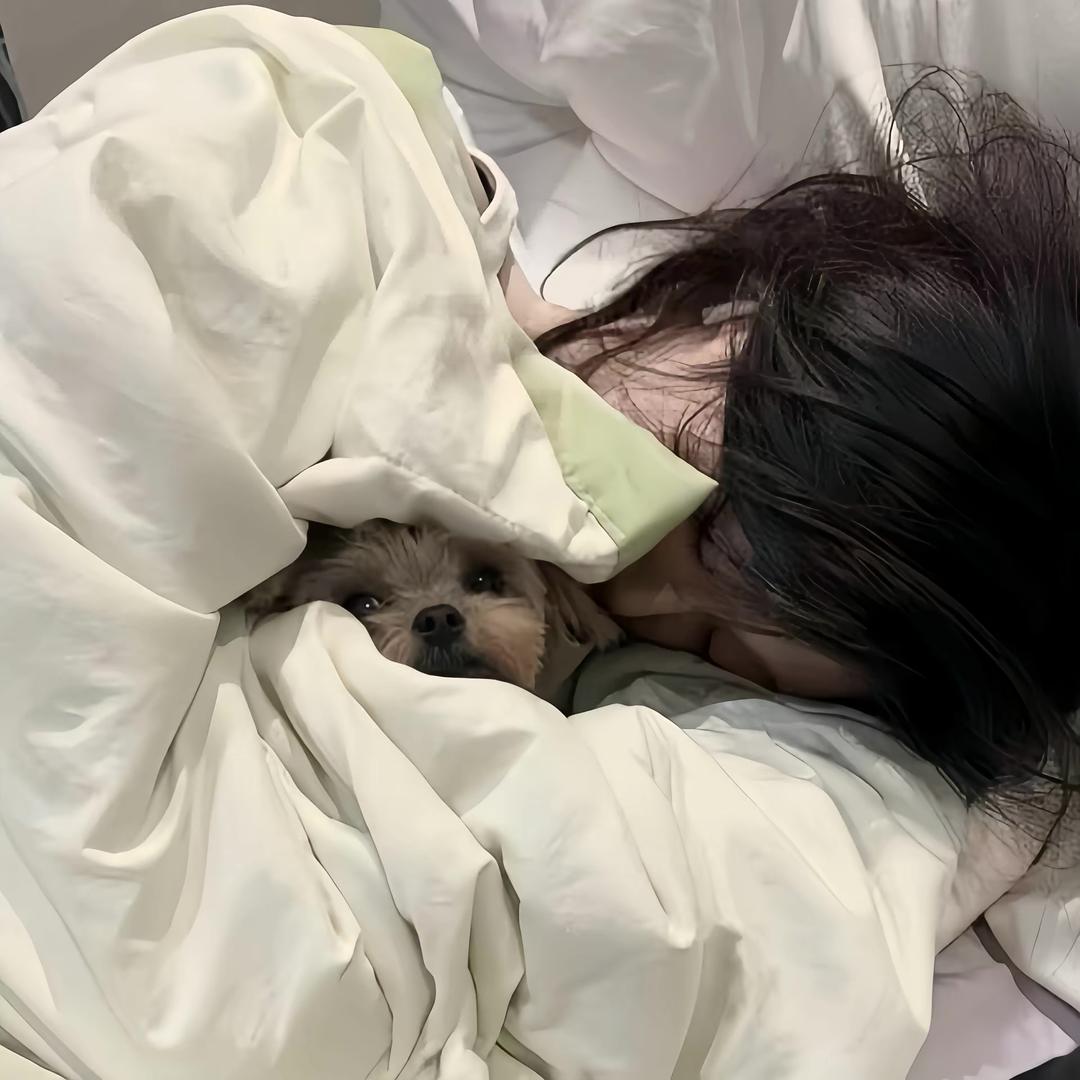 & 板雅