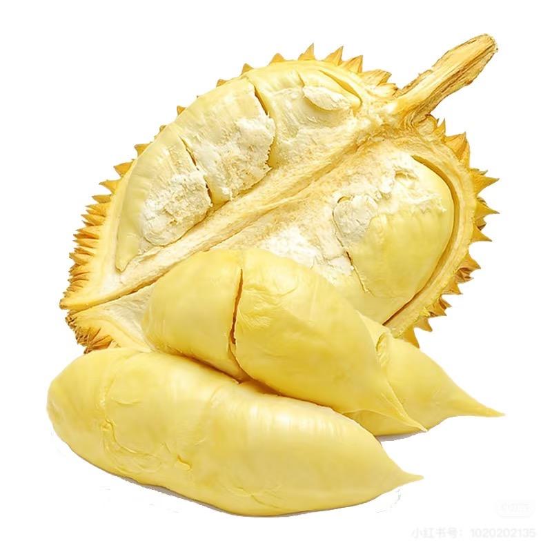 肉多多榴莲批发