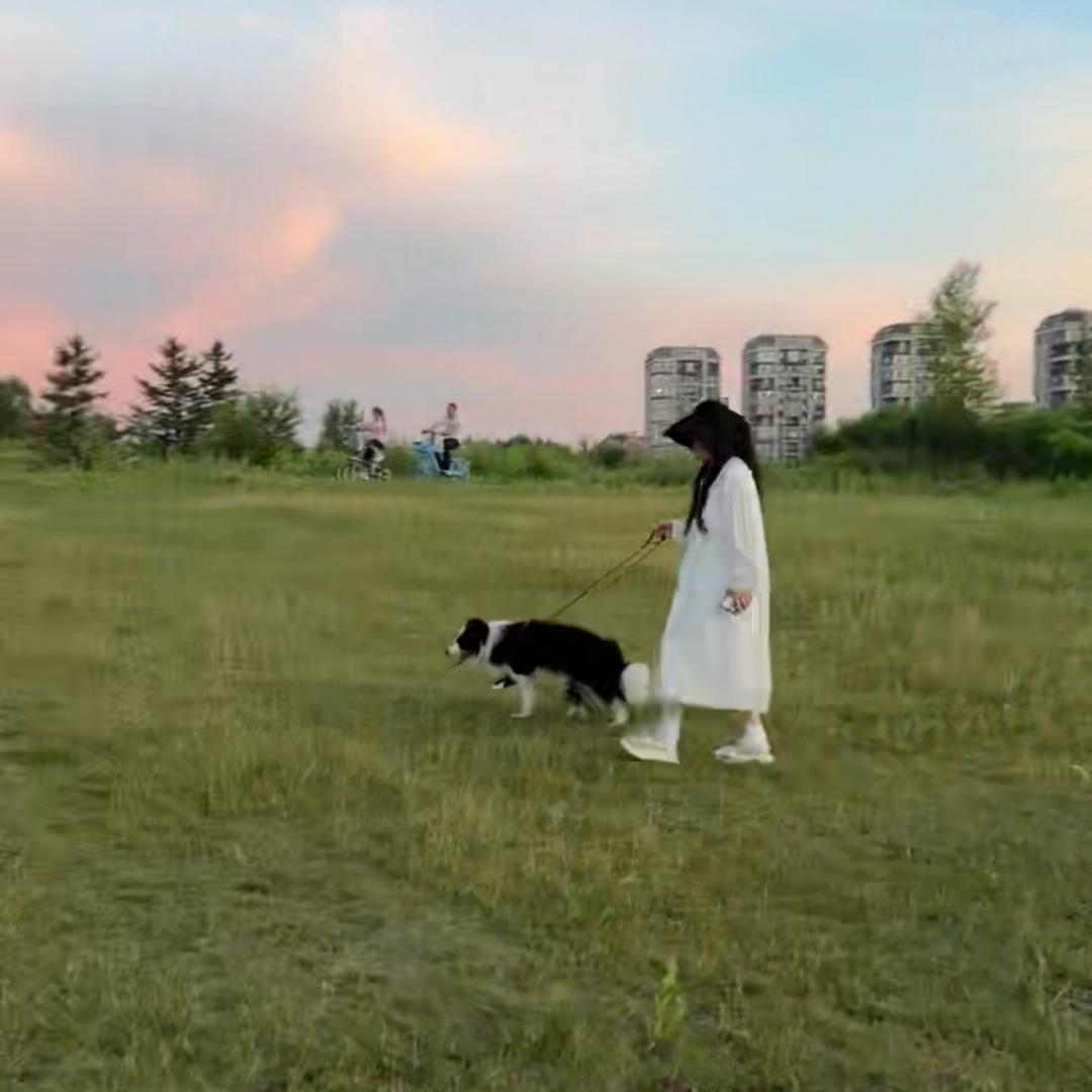 🍒懒猫🍒