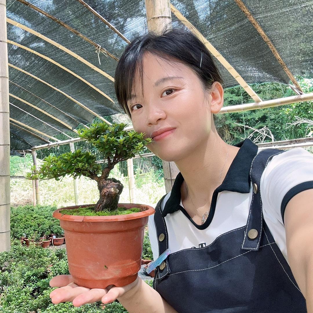 微笑盆景园艺