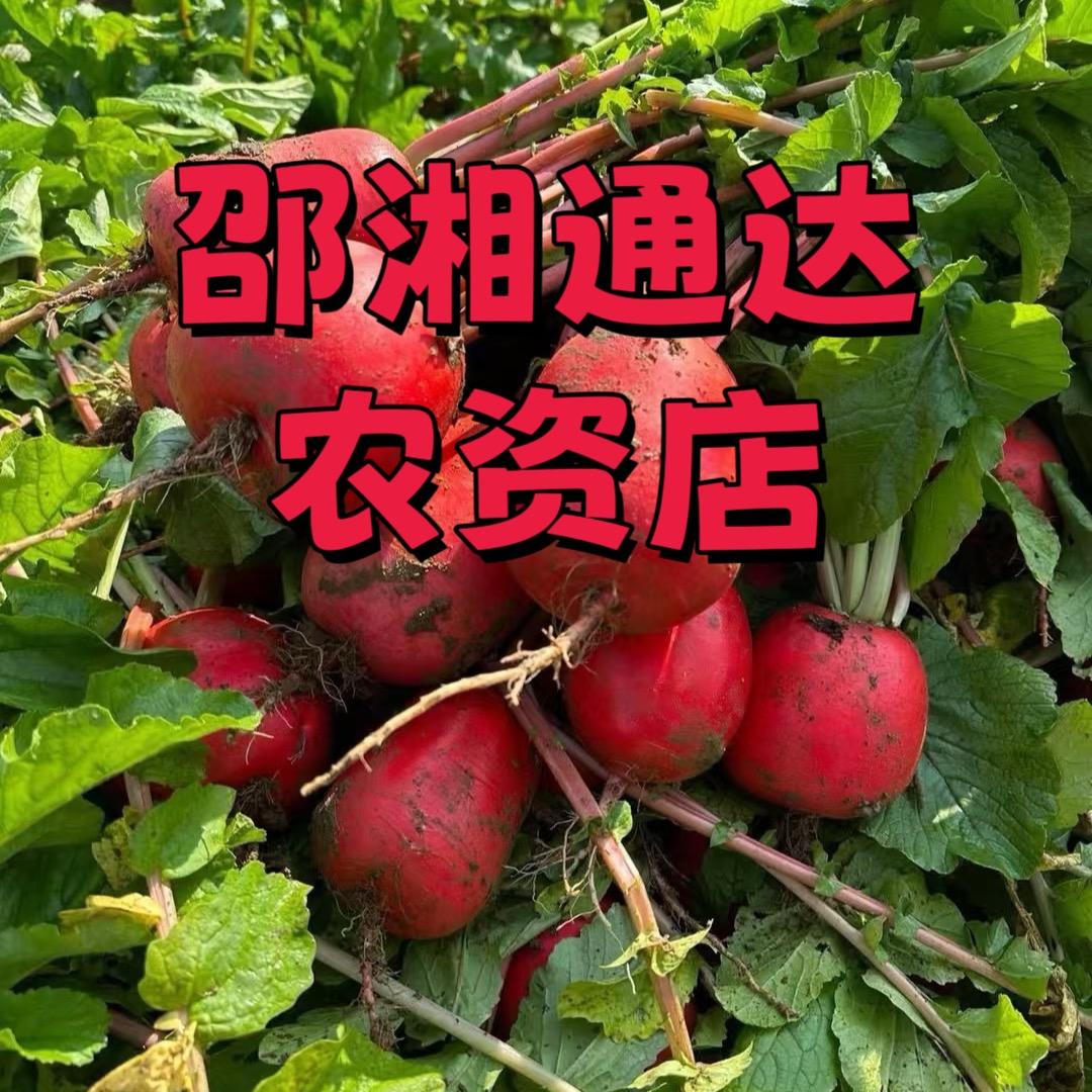 邵湘通达农资店