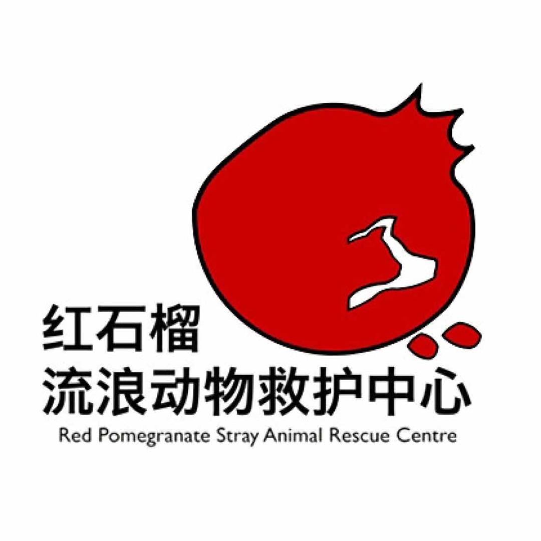 西安红石榴流浪动物救护中心