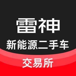 雷神新能源二手车