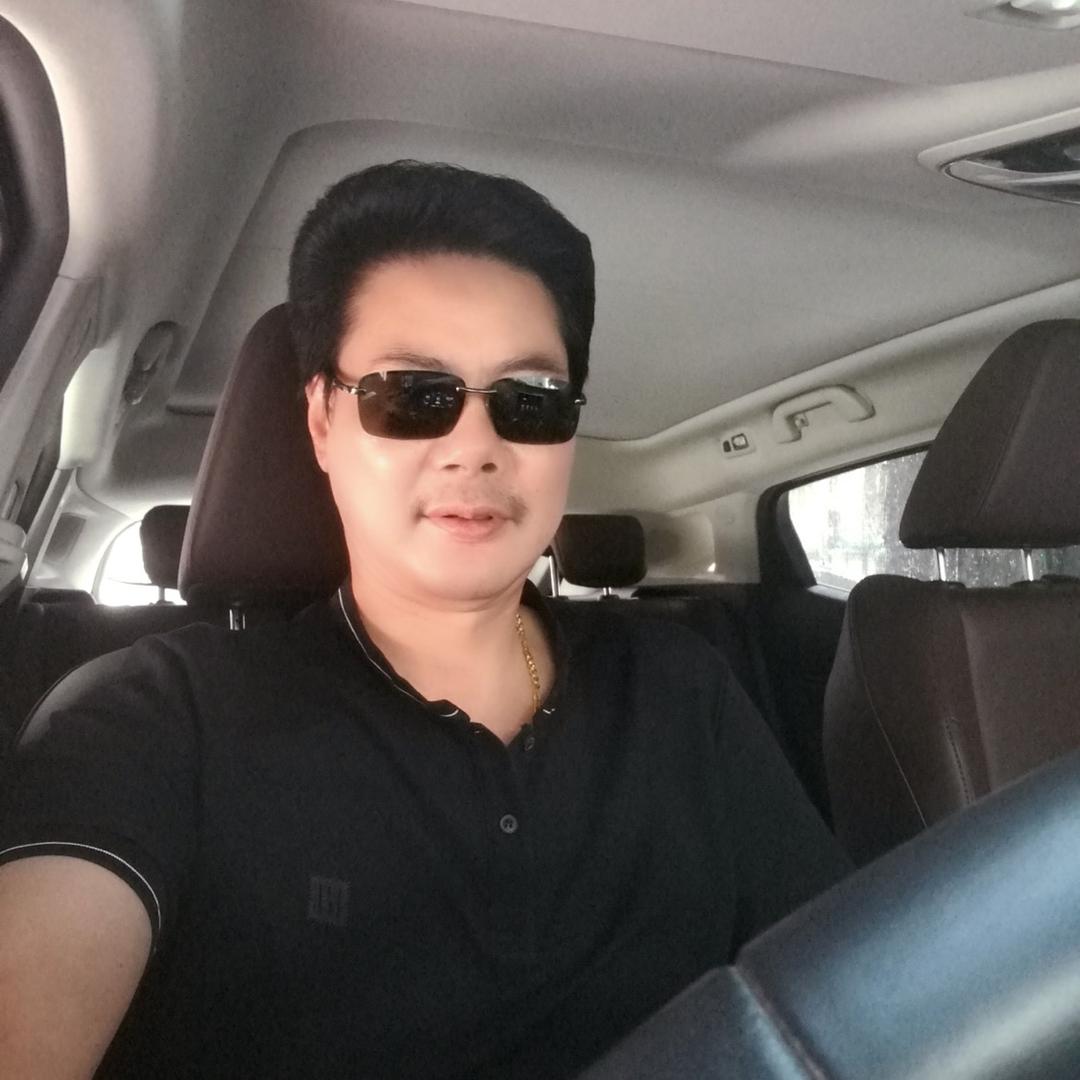 春风杨柳