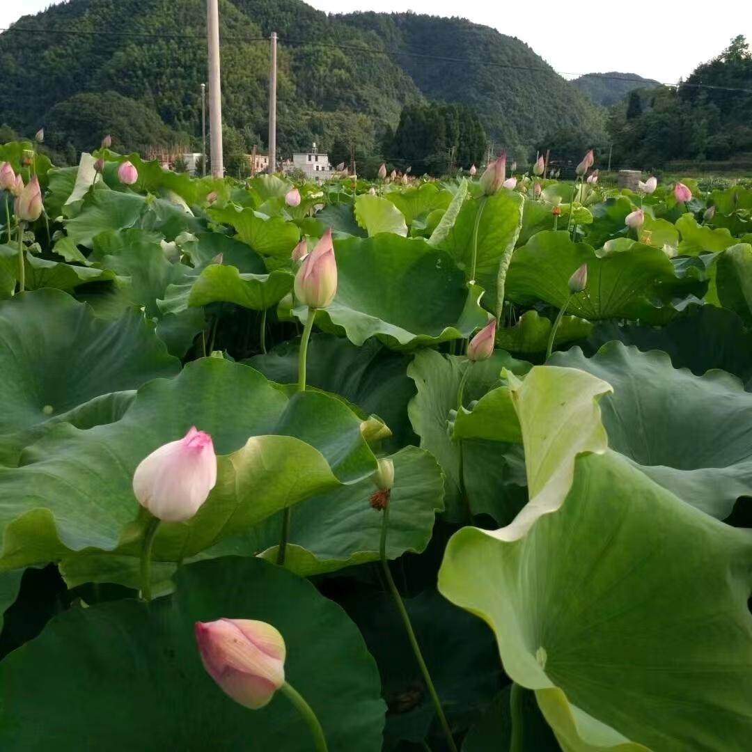 程程🍀