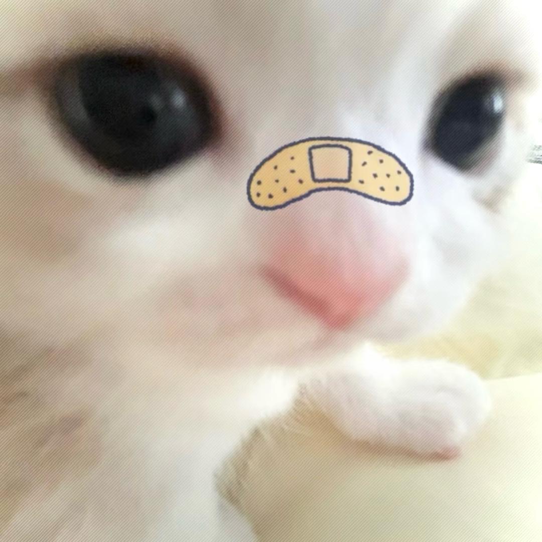 雯^_^