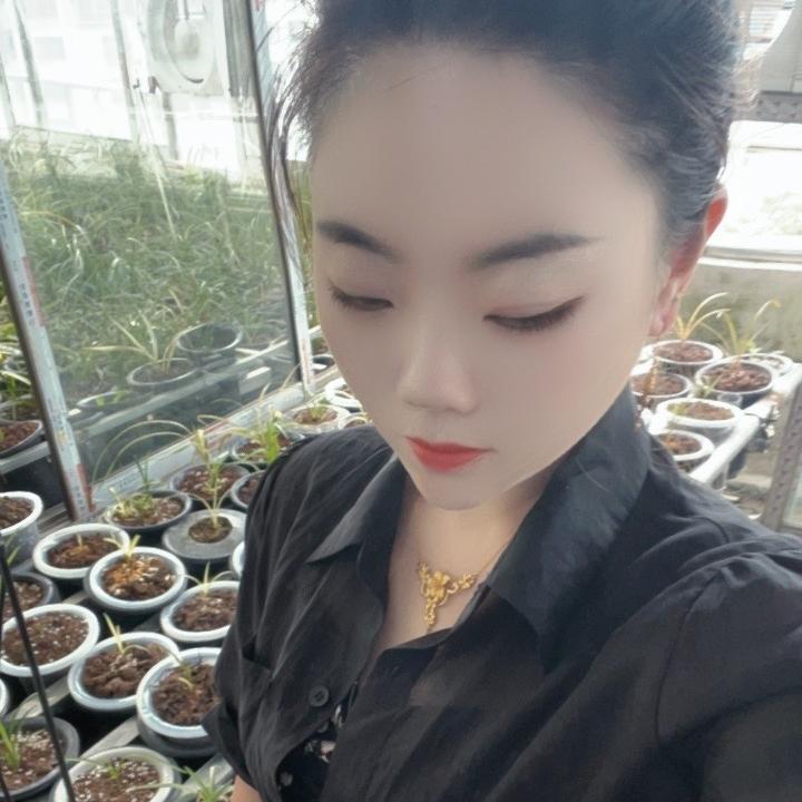 小殷爱兰花