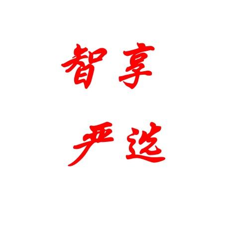 智享严选电热毯