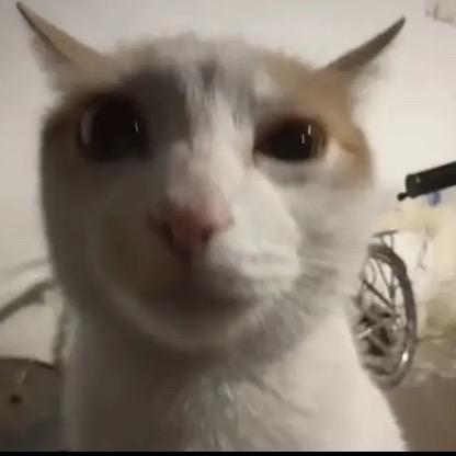 cxkyy
