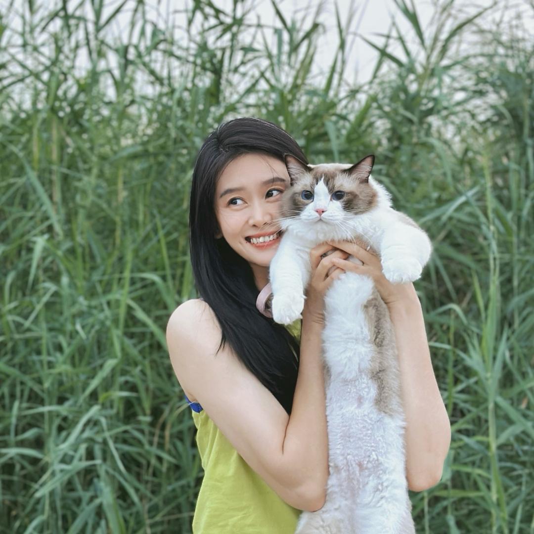 甜葵葵