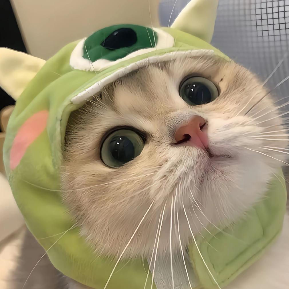 壹宝是只可爱猪～