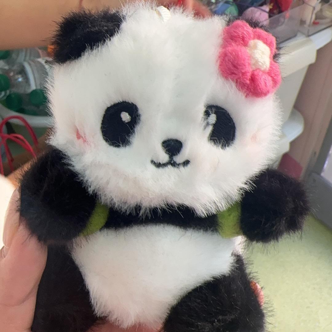 樱子