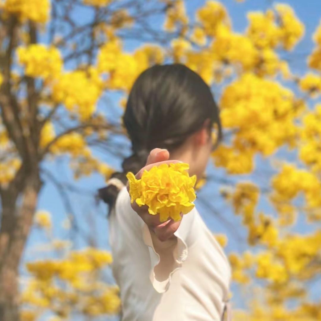 Tiᴗn.ᥫᩣ.